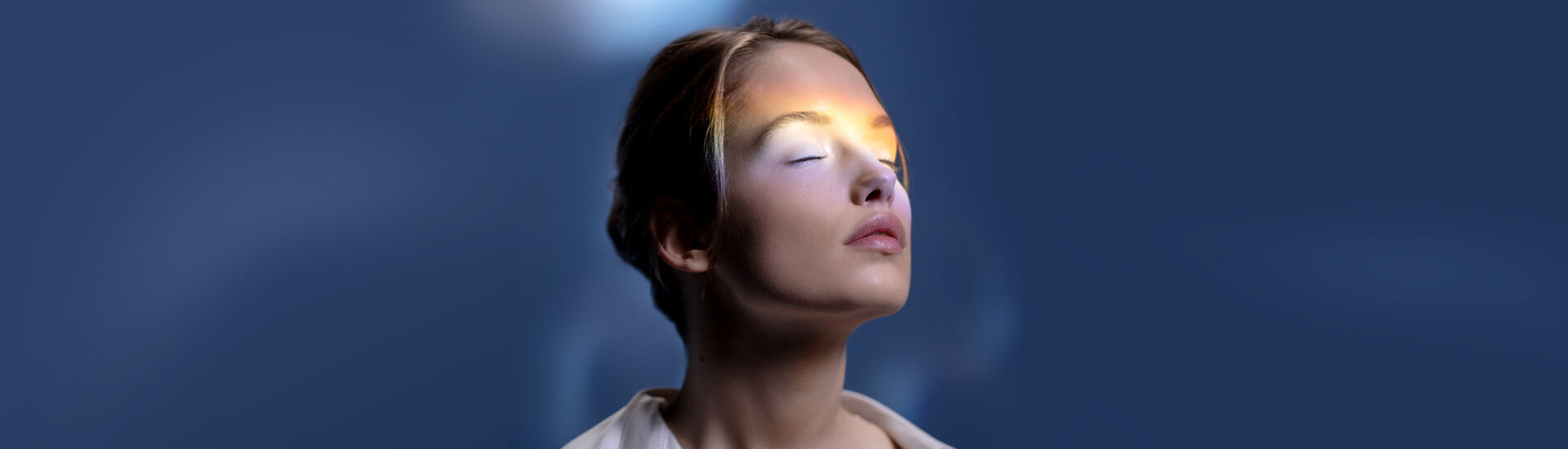 공식몰 단독 휘또-블랑 기획세트